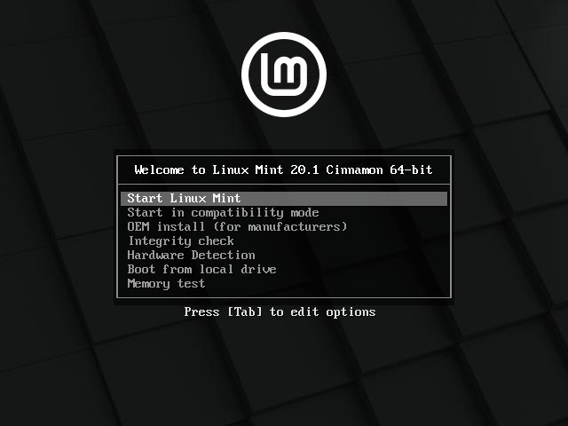 Linux Mint 20.1 installieren - first boot