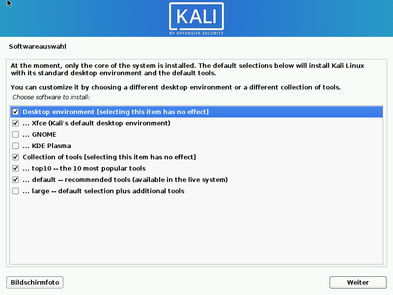 Kali Linux installieren - softwareauswahl