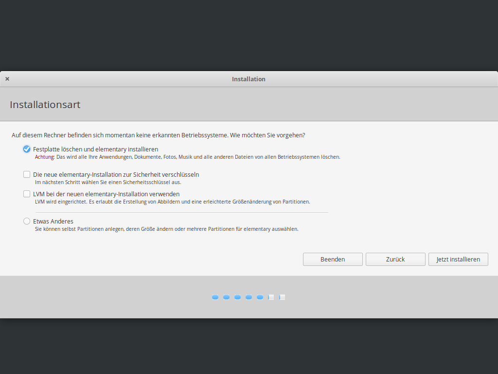 Elementary OS 5.1 installieren - disk