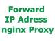 Forward IP Adress nginx Proxy