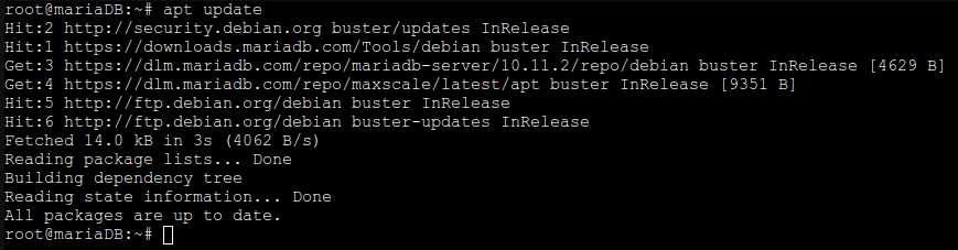 MariaDB 10.11.2 installieren Debian 11 Debian 10 apt update
