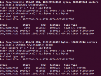 Ubuntu Festplatte clonen mit dd Tutorial 1 fdisk l