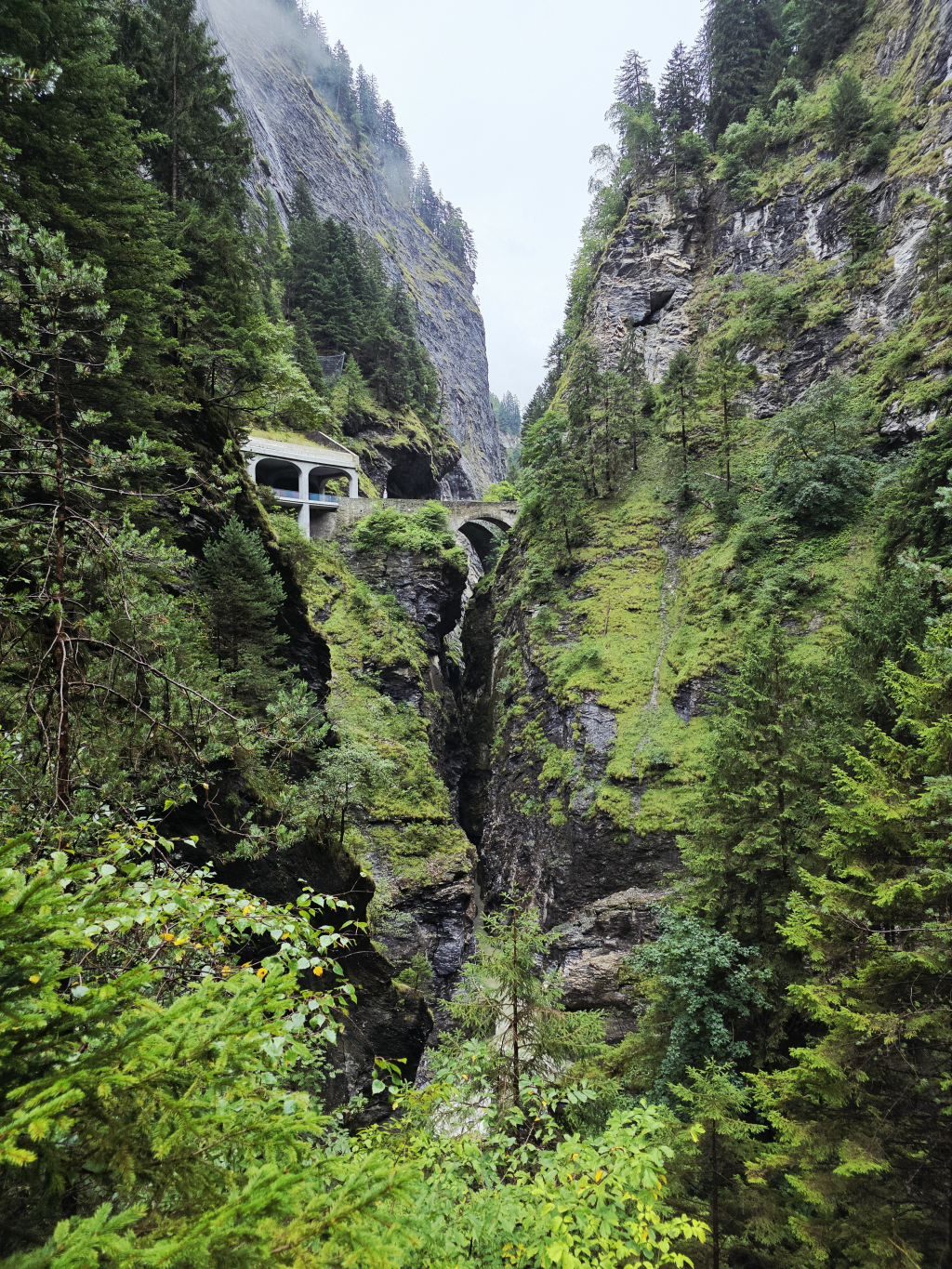 Samsung Galaxy S25 Ultra Camera Test 1