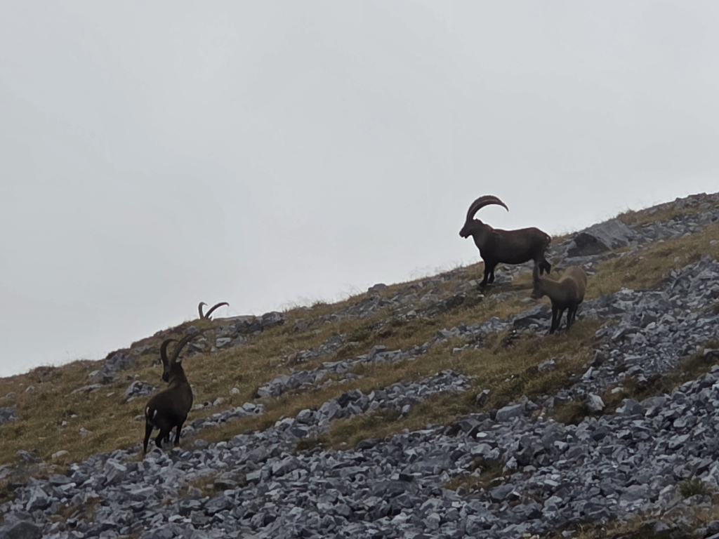 Samsung Galaxy S25 Ultra Camera Test 49