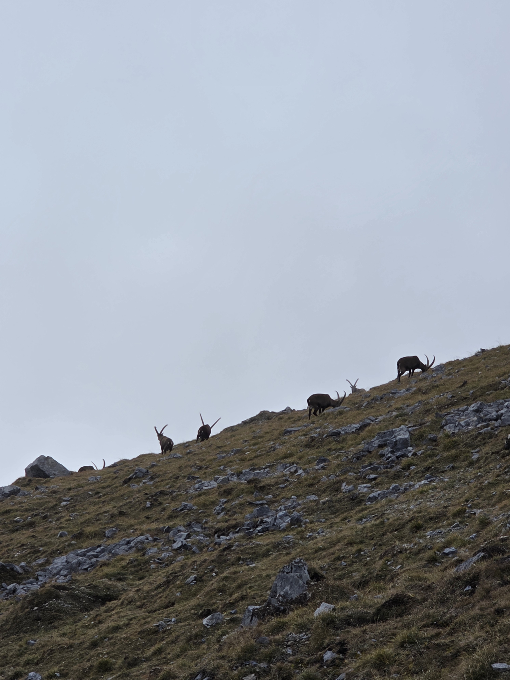 Samsung Galaxy S25 Ultra Camera Test 51