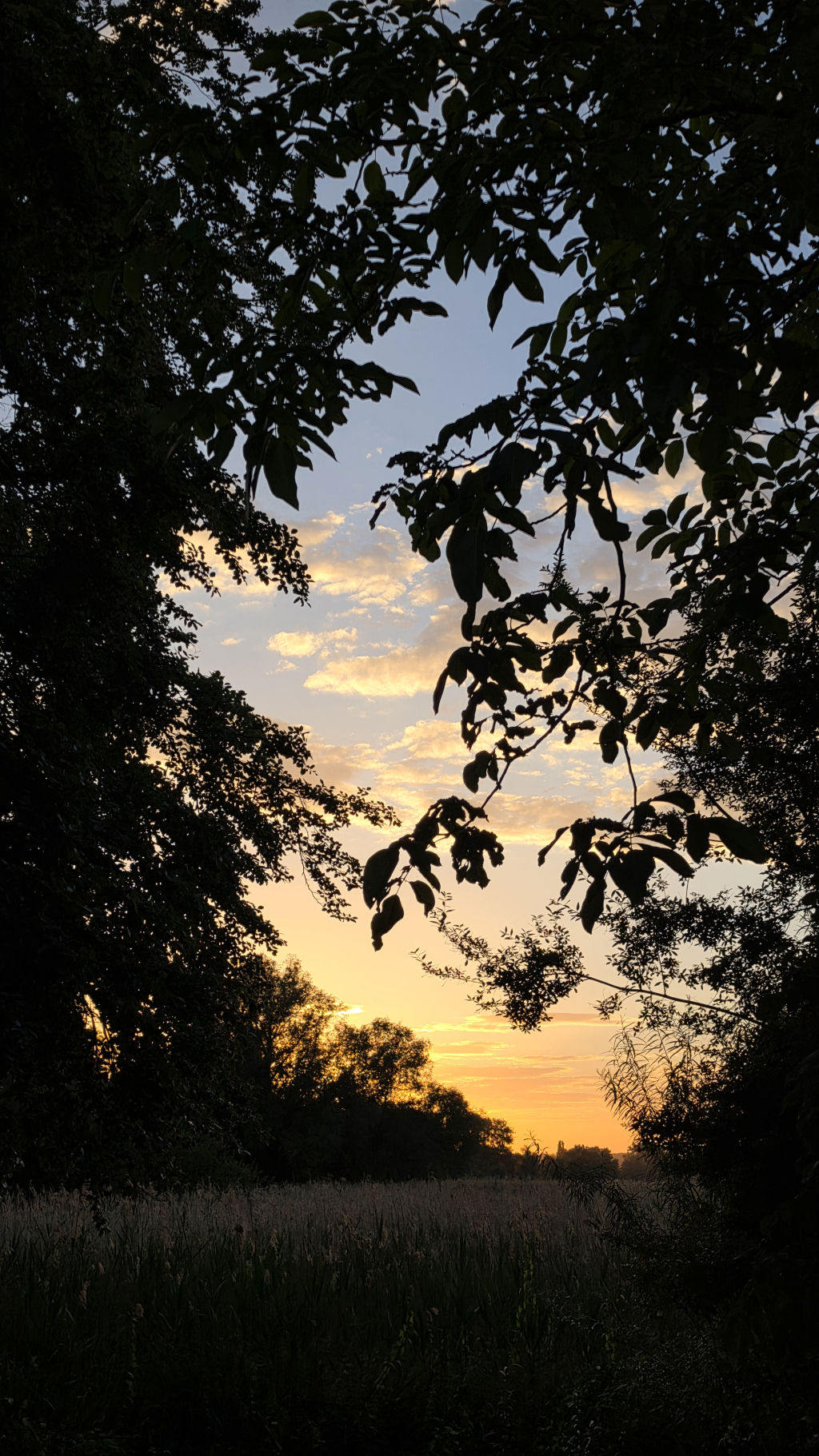 Samsung Galaxy S26 Ultra Camera 26